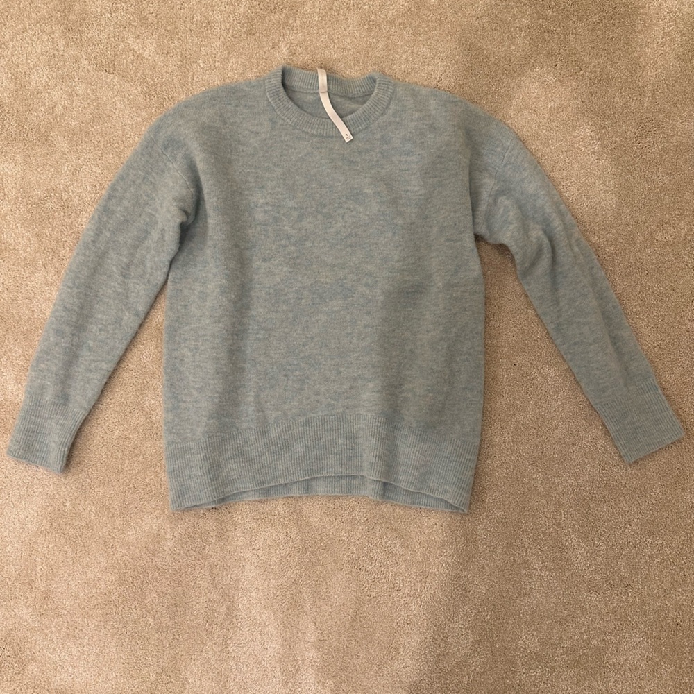 Aritzia Blue Sweater